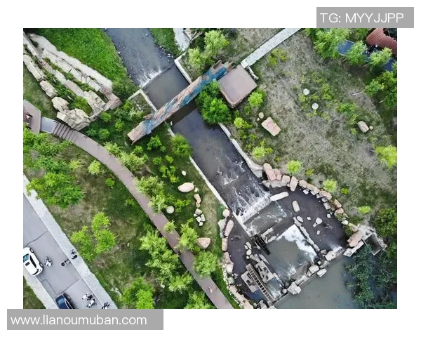 大秦之水与黑龙江的水系对比探讨及其生态环境影响分析