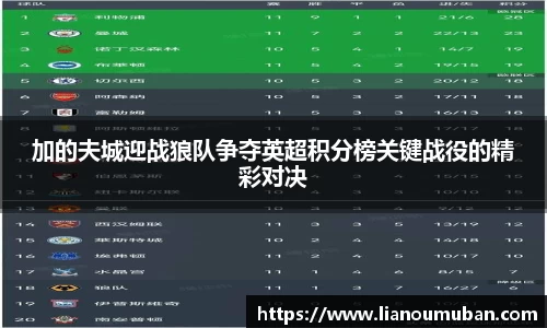 加的夫城迎战狼队争夺英超积分榜关键战役的精彩对决